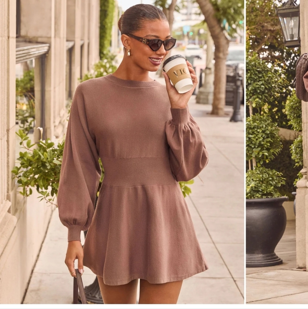 NWOT Vici Sweater Dress